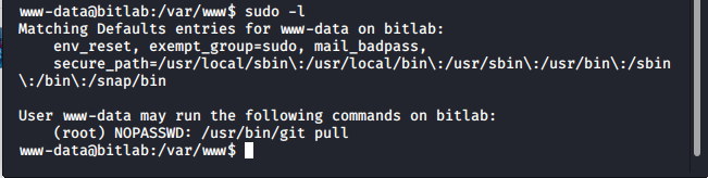 sudo l on www-data